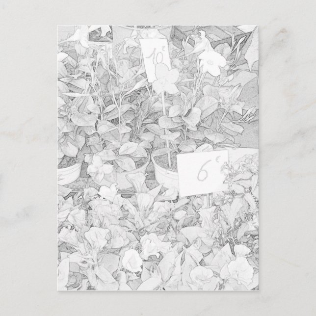 Cartão Postal Coloração do mercado da flor (Frente)