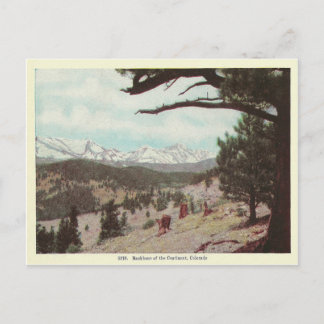 Cartão Postal Colorado Antigo