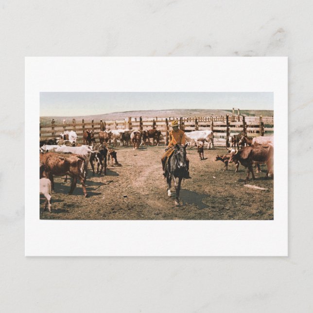 Cartão Postal Colorado Cowboy 1904 (Frente)