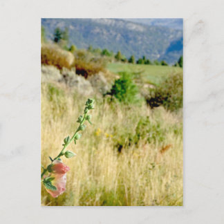 Cartão Postal Colorado setembro