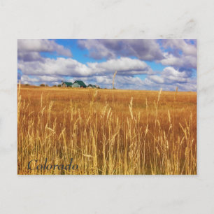 Cartão Postal Colorado vasto