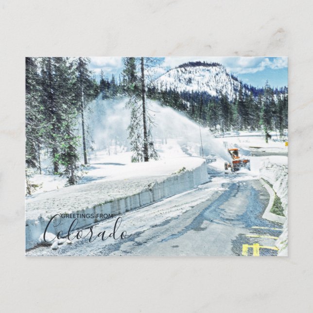 Cartão Postal Colorado Winter Deep Snow (Frente)