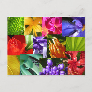 Cartão Postal Colore o seu mundo