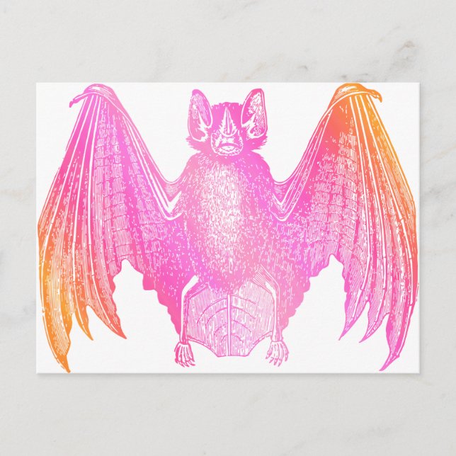 Cartão Postal Colorful Bat (Frente)