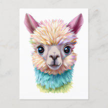 Colorida Baby Lama