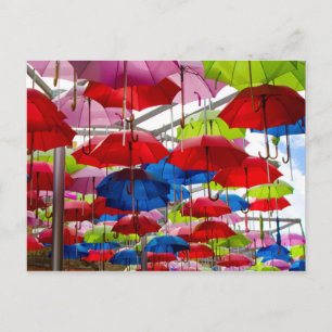 Cartão Postal Colorida Canopia dos Guarda-chuvas