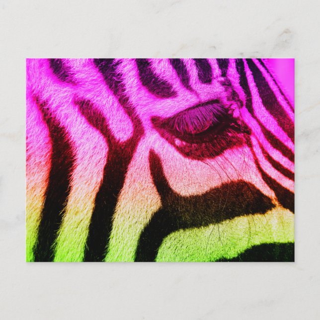 Cartão Postal Colorida Funky Zebra (Frente)