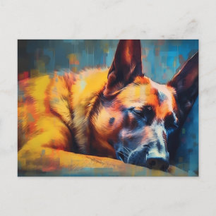 Cartão Postal Colorida Malinois Belga