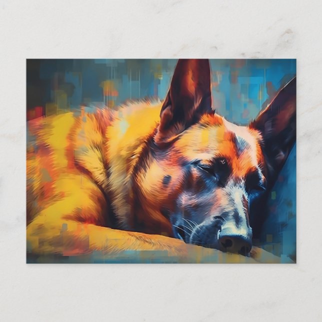 Cartão Postal Colorida Malinois Belga (Frente)