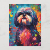 Colorida Shih Tzu