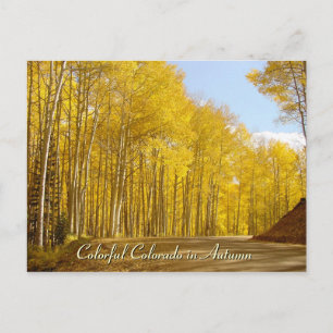 Cartão Postal Colorido Colorado no outono