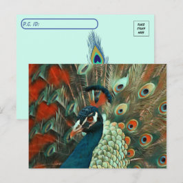 Cartão postal Colorido de Peacock