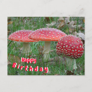 Cartão postal Colorido Fly Amanitas Happy Birthday