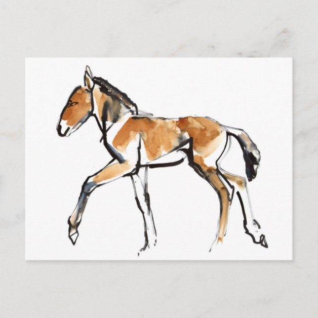 Cartão Postal Colt (Frente)