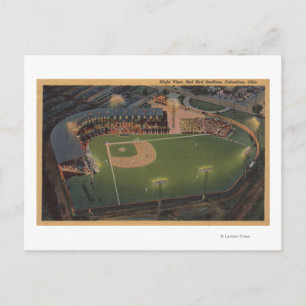 Cartão Postal Columbus, OH - Áreas de Beisebol de Pássaro Verm
