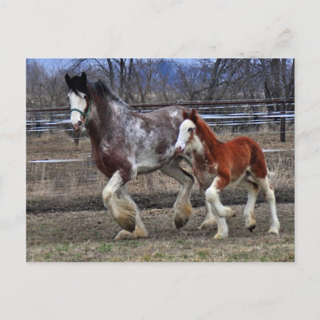 Cartão Postal & Coluna em execução (Frente)