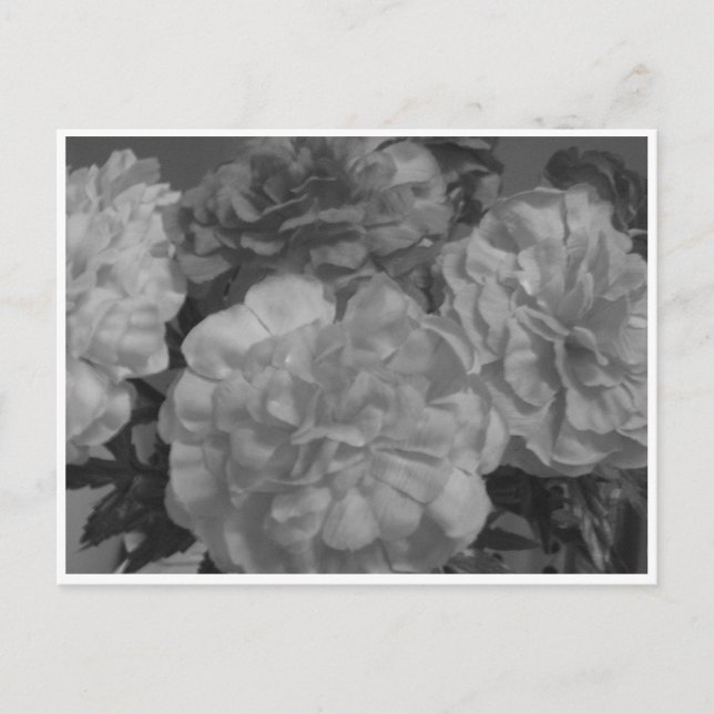 Cartão Postal Com amor de mim, para você... (Frente)