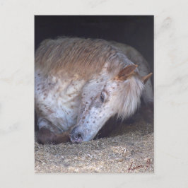 Cartão Postal Com calma