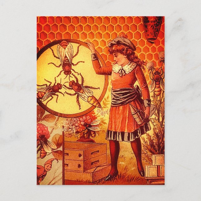 Cartão Postal com Imagem de Menina Apicultora Vint (Frente)