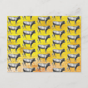 Cartão Postal com Imagem de Vaca de Fazenda Antiga