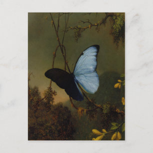 Cartão postal com pintura de Martin Johnson Heade
