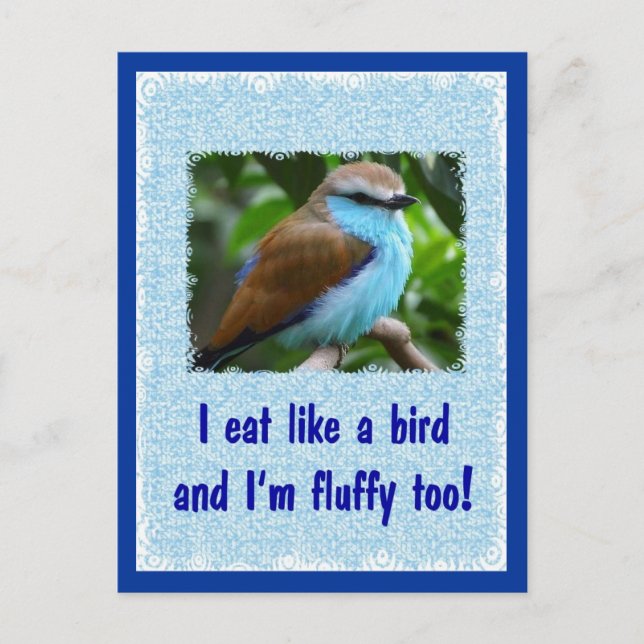 Cartão Postal Coma como um pássaro 2 (Frente)