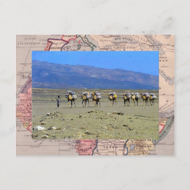 Cartão Postal Comboio Camel atravessando o deserto do Saara (Frente)