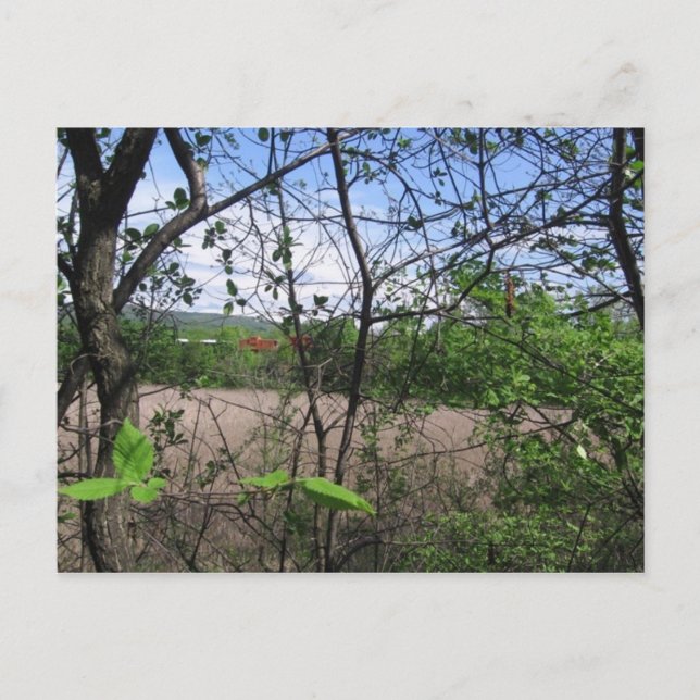 Cartão Postal comboio champlain (Frente)