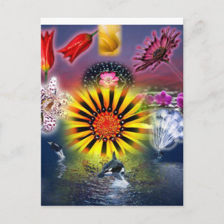 Cartão Postal Comer