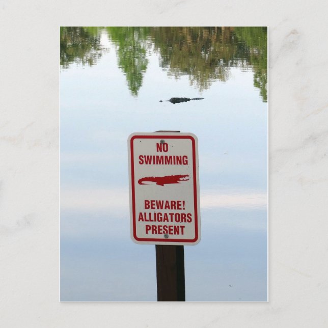 Cartão Postal Comitê de Boas-vindas da Flórida (Frente)