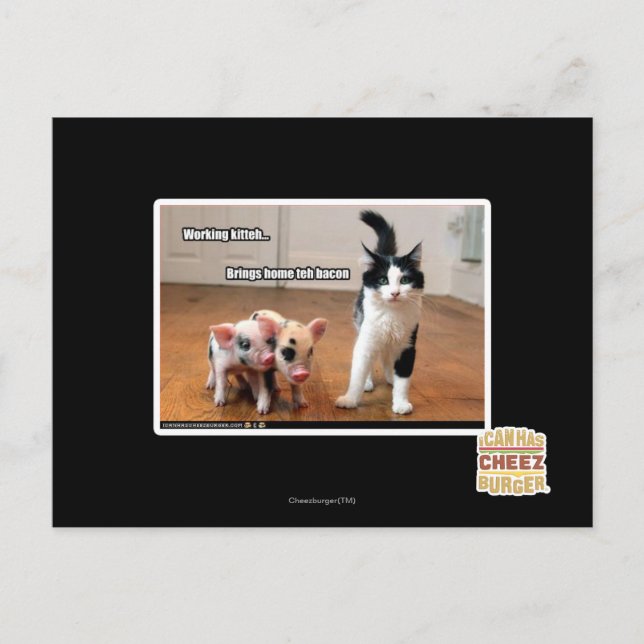 Cartão Postal Comitê de Trabalho (Frente)