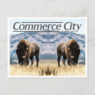 CARTÃO POSTAL COMMERCE CITY COLORADO