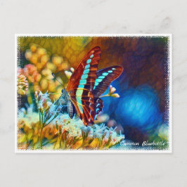 Cartão Postal Common Bluebottle ポストカード
