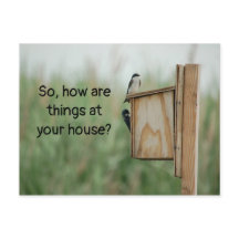 Como as coisas estão pensando em seus pássaros?