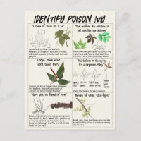 Como identificar plantas venenosas - Caminhe segur