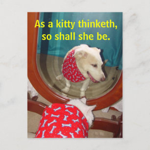 Cartão Postal Como um pensamento gatinho...
