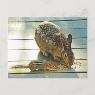 Cartão Postal Compartilhamento Bunny e Chipmunk