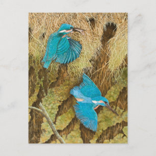 Cartão Postal Compartilhando o Caring 2011