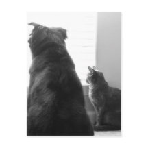 Compartilhando um momento tranquilo