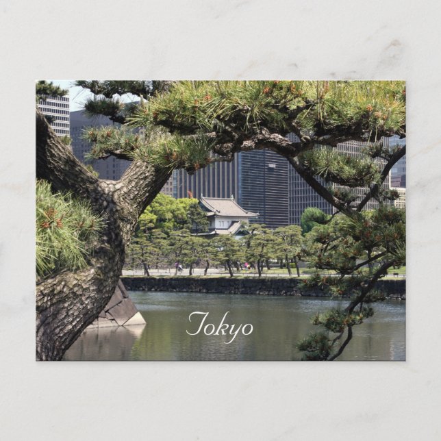 Cartão Postal complexo imperial (Frente)