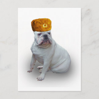 Cartão Postal Comrad Bulldog