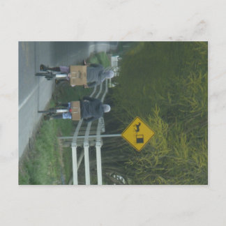 Cartão Postal Comunidade Amish