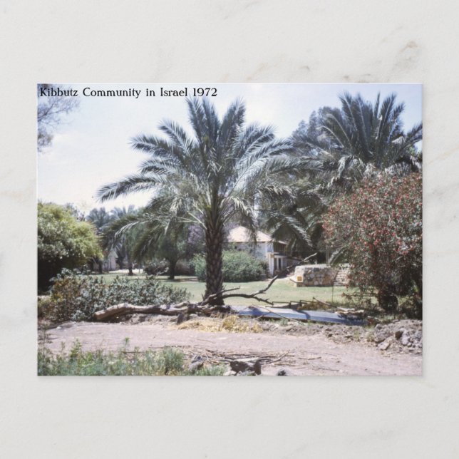 Cartão Postal Comunidade Kibbutz em Israel (Frente)