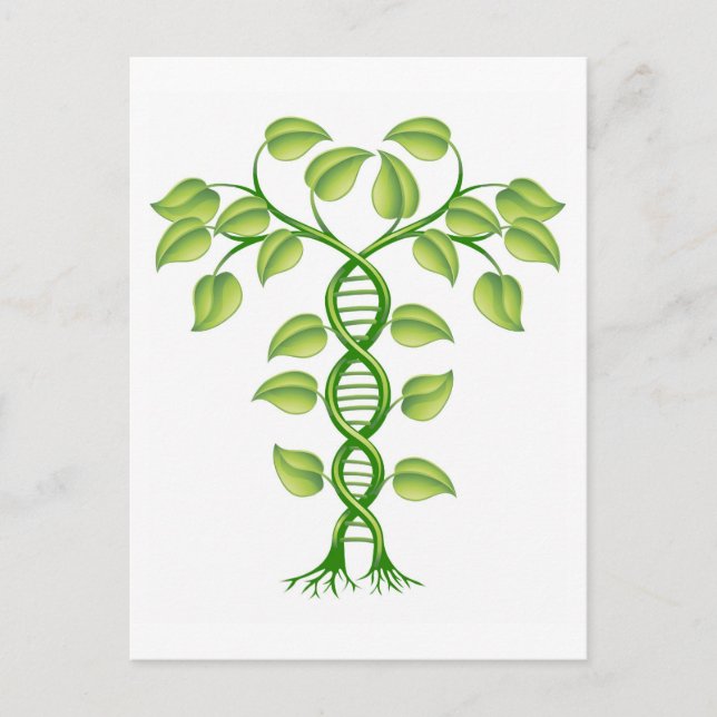 Cartão Postal conceito de planta de DNA (Frente)