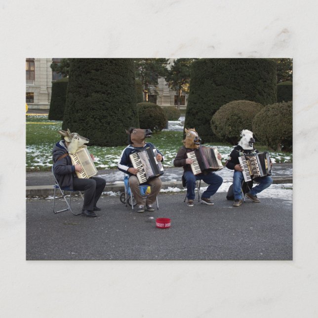 Cartão Postal concerto de animais (Frente)