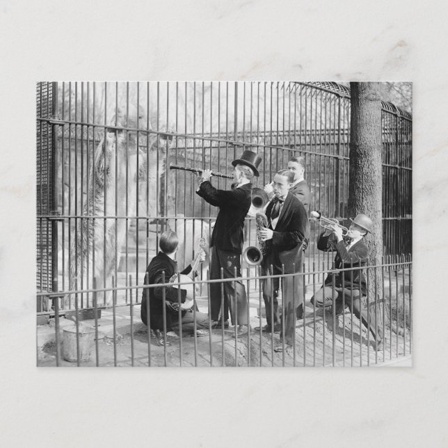 Cartão Postal Concerto Para Ursos Polares, 1925 (Frente)