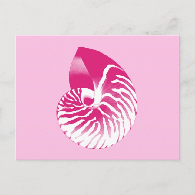 Cartão Postal Concha de Nautilus - rosa fúcsia e branco (Frente)