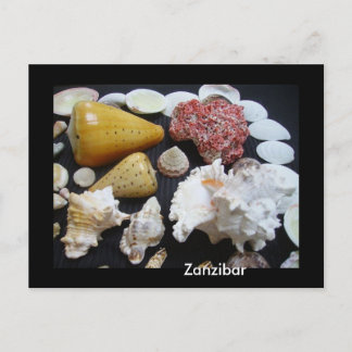 Cartão Postal conchas de Zanzibar