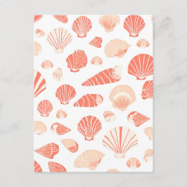 Cartão Postal Conchas Marinhas Bonito Litoral