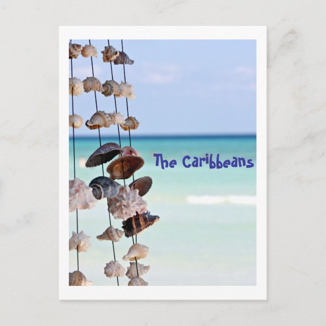 Cartão Postal conchas no fundo do mar (Frente)